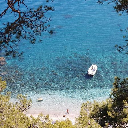 "L'Hippocampe", Climatise, 60 M2 , 2 Chambres, Tres Calme, Plage Des Sablettes Et Commerces A 3 Minutes A Pied, Wifi, Parking Gratuit, Lit King Size La Seyne-sur-Mer Exterior foto