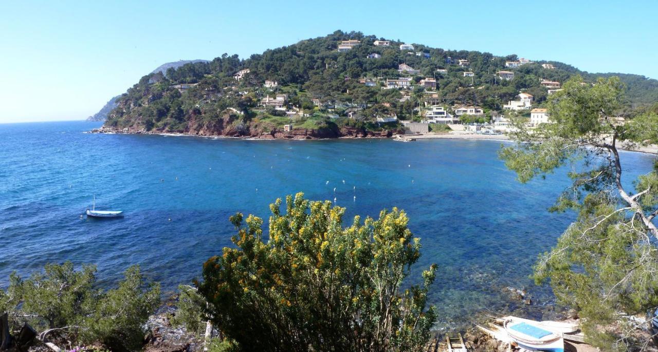 "L'Hippocampe", Climatise, 60 M2 , 2 Chambres, Tres Calme, Plage Des Sablettes Et Commerces A 3 Minutes A Pied, Wifi, Parking Gratuit, Lit King Size La Seyne-sur-Mer Exterior foto